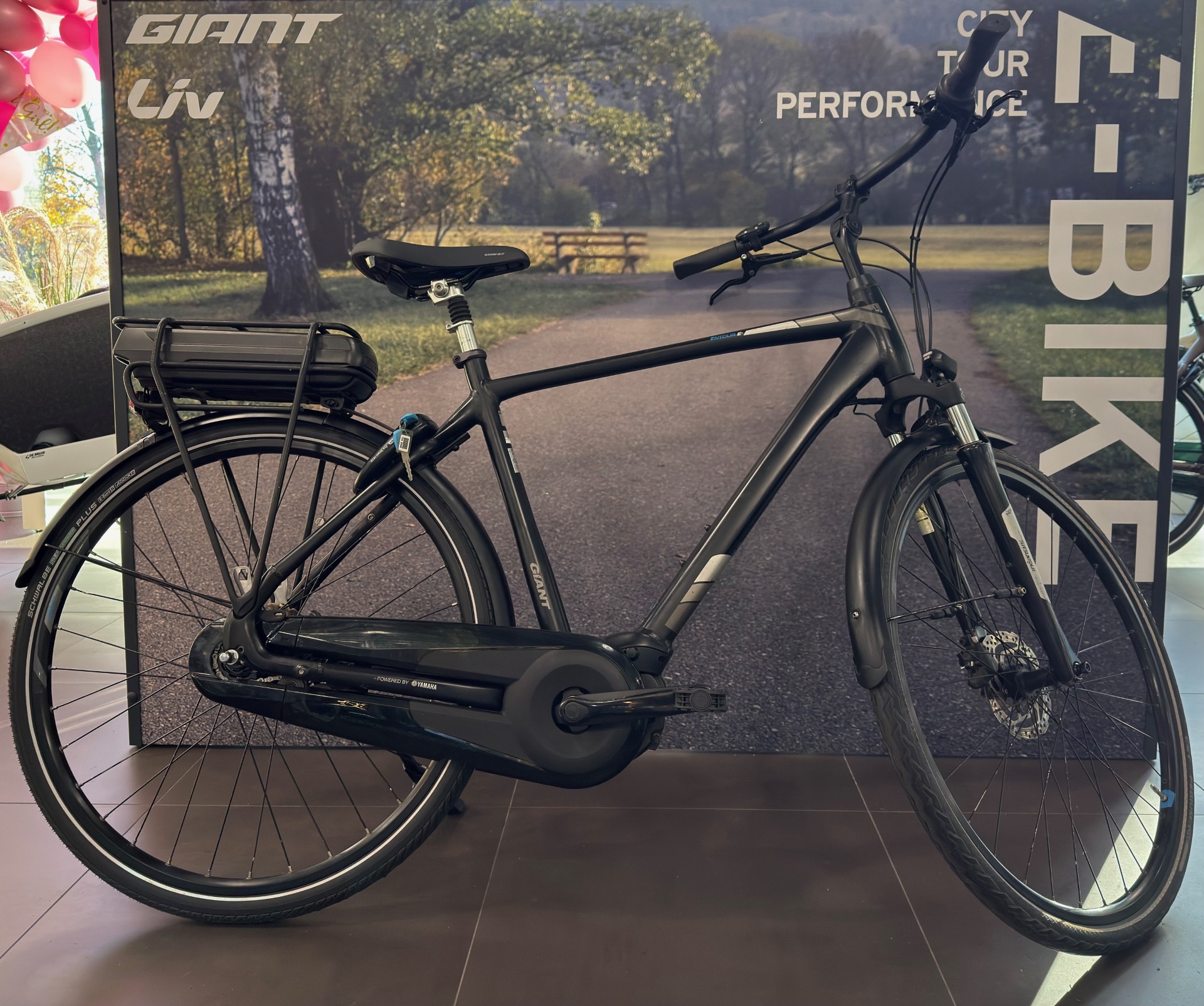 Giant Entour E+ ( incl.nieuwe accu )