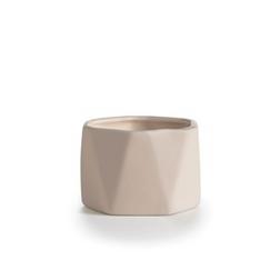 Illume Candles Illume Dylan Ceramic Coconut Milk Mango Illume Candles Illume Dylan Ceramic Coconut Milk Mango