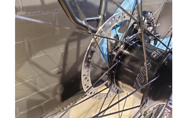 Santos Low-step Bosch (14)