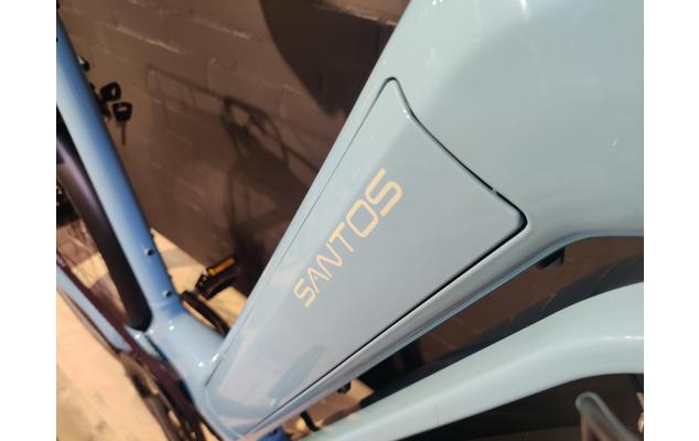 Santos Low-step Bosch (15)