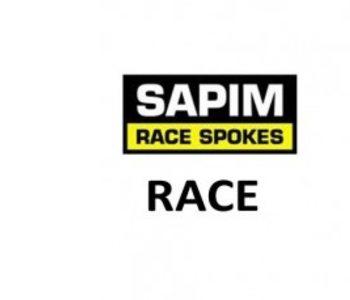 Sapim spaak race 14x256 zwart werkplaats (100)