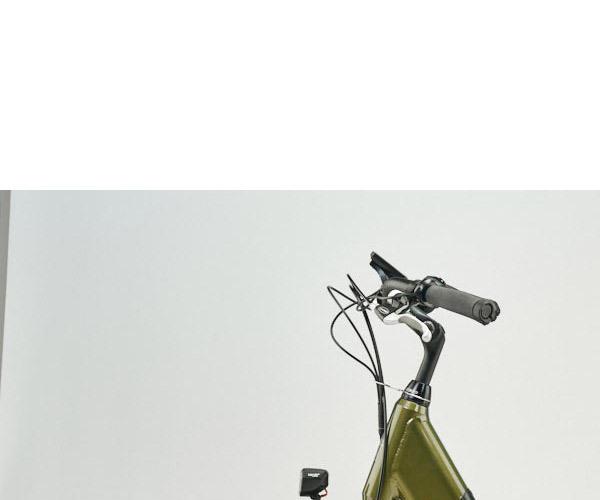 Bikkel iBee Tuba deep green 49cm elektrische damesfiets 4