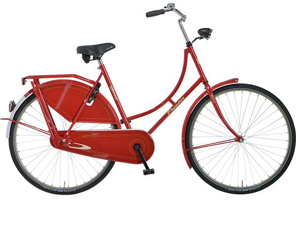 Pointer Glorie RVS N3 RB rood 50cm Omafiets