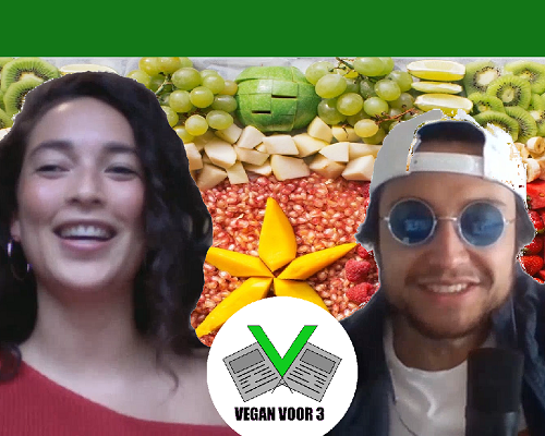 VV3 "Vegan eten op z'n Surinaams met Gesontu Sranang"