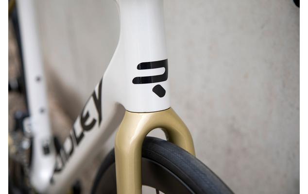 FFSFSDRID136_image8_2048x