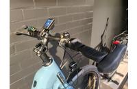 Santos Low-step Bosch (4)