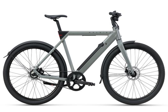 RALEIGH ONE SAGE GREY