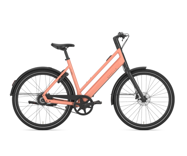 Medium-CurbC1softpeachgloss_1592-2_Lpsvs