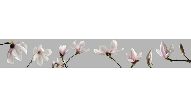 magnolia_vb