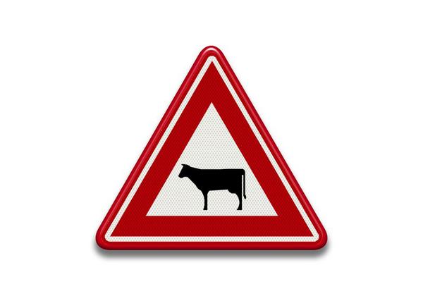 RVV Verkeersbord - J28 Vooraanduiding overstekend vee koeien driehoek rood waarschuwingsbord breed