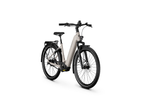 image-3-exc-sust-grey2