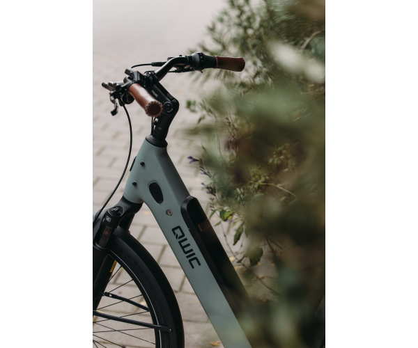 Elan_Flow_QWIC_Elanaccudetail