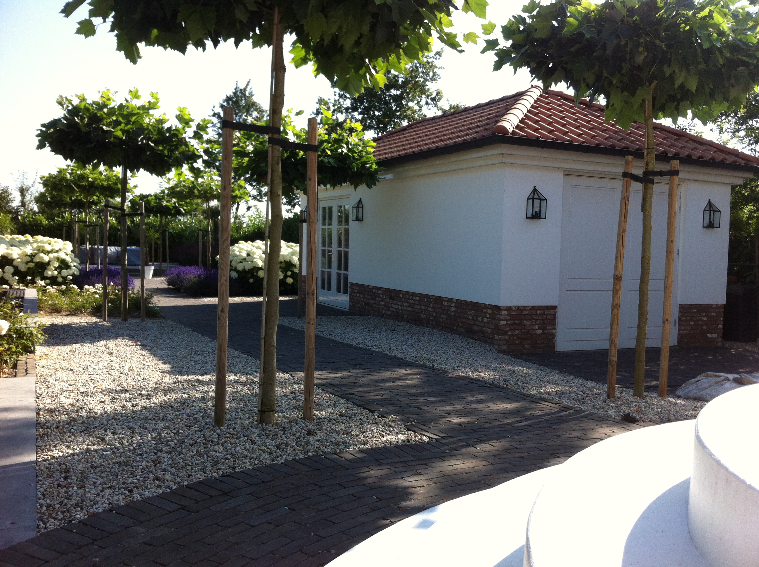 Photo 18-07-13 09 16 40.jpg