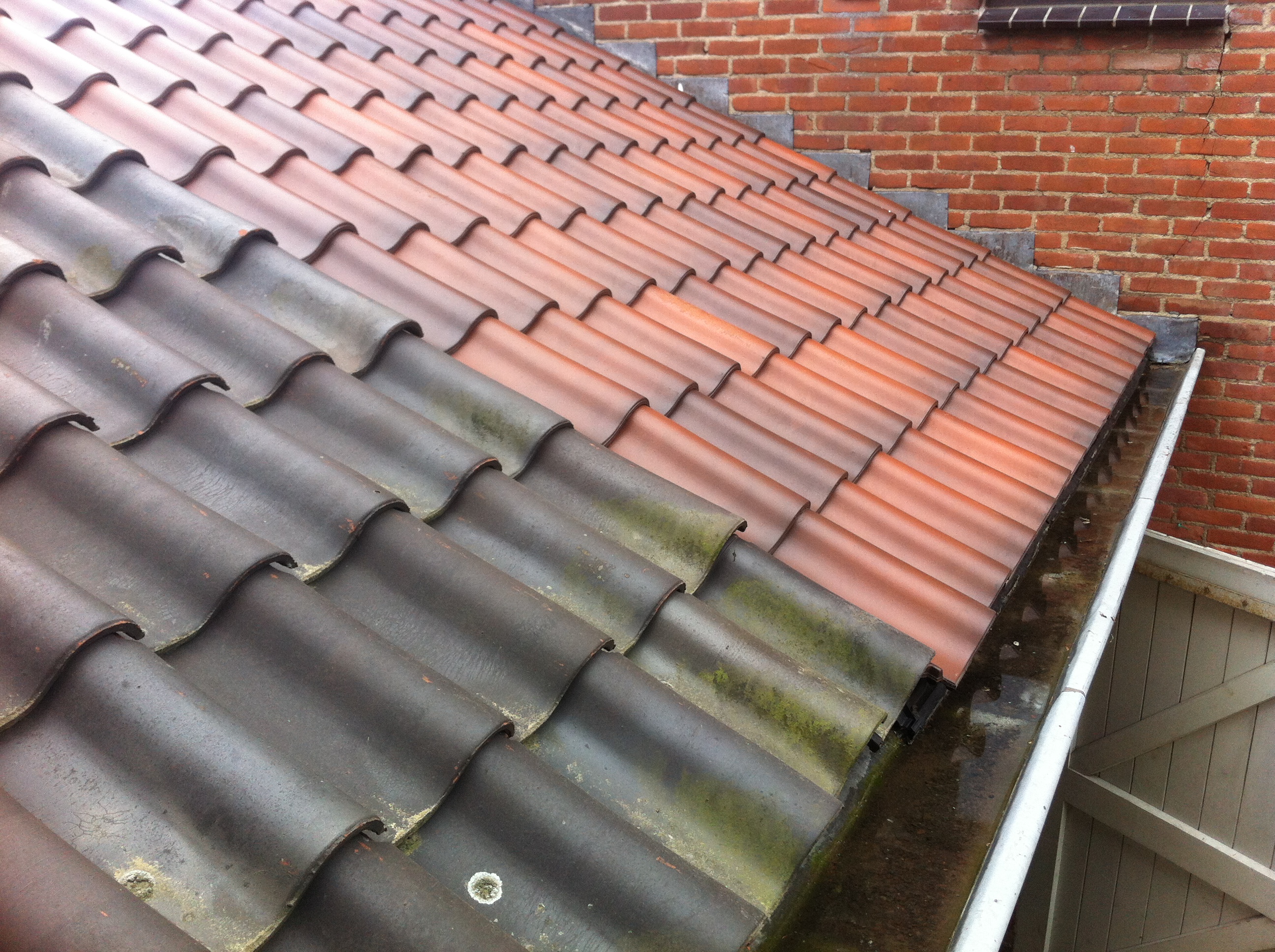 Photo 26-04-14 14 05 20.jpg