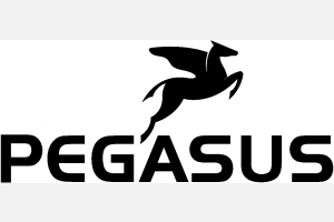 Pegasus-Logo.jpg