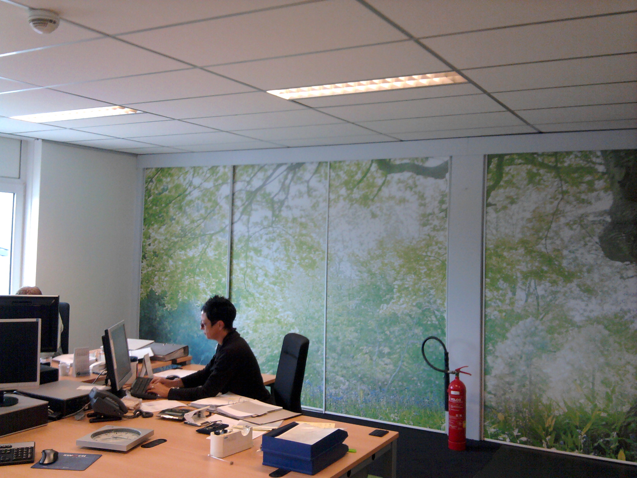 Muurdecoratie wandpanelen natuur bomen