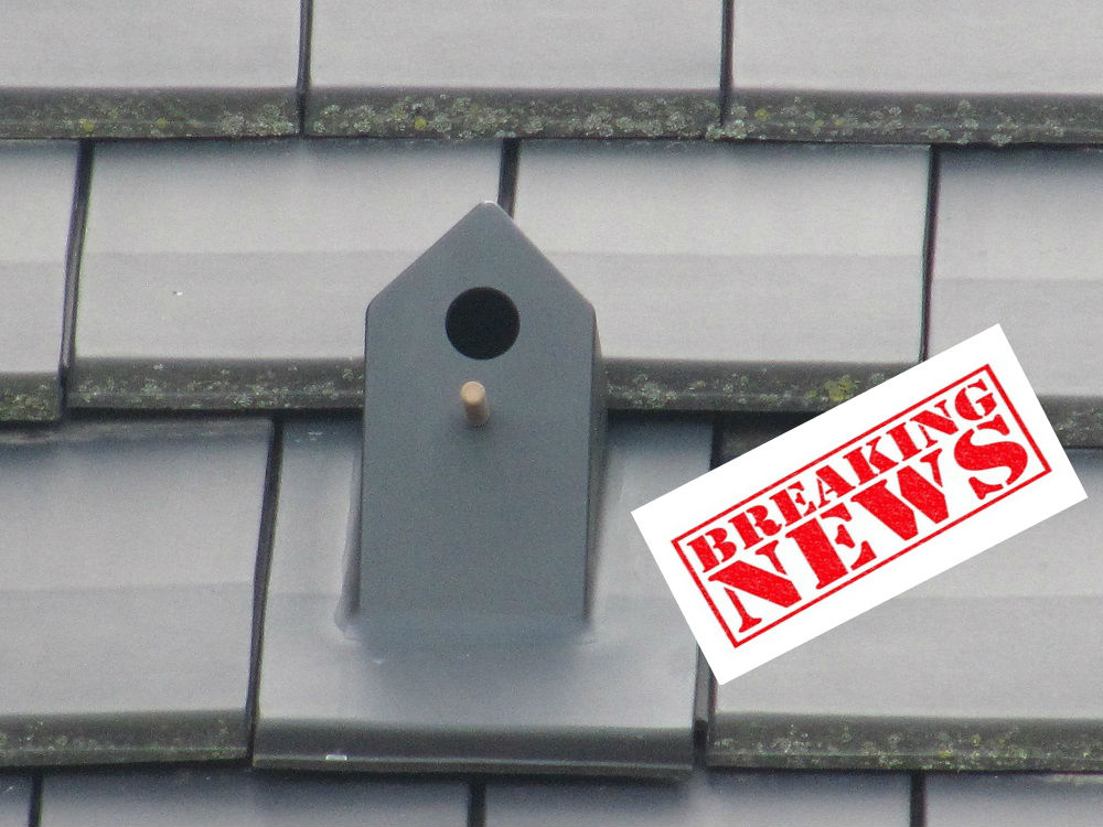 Stand-Up vogelhuisjesdakpan in programma VT Wonen