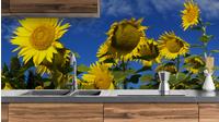 Sunflowers•keuken