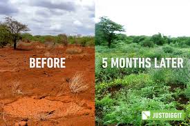 149 bunds in 2025: onze duurzame impact met Justdiggit