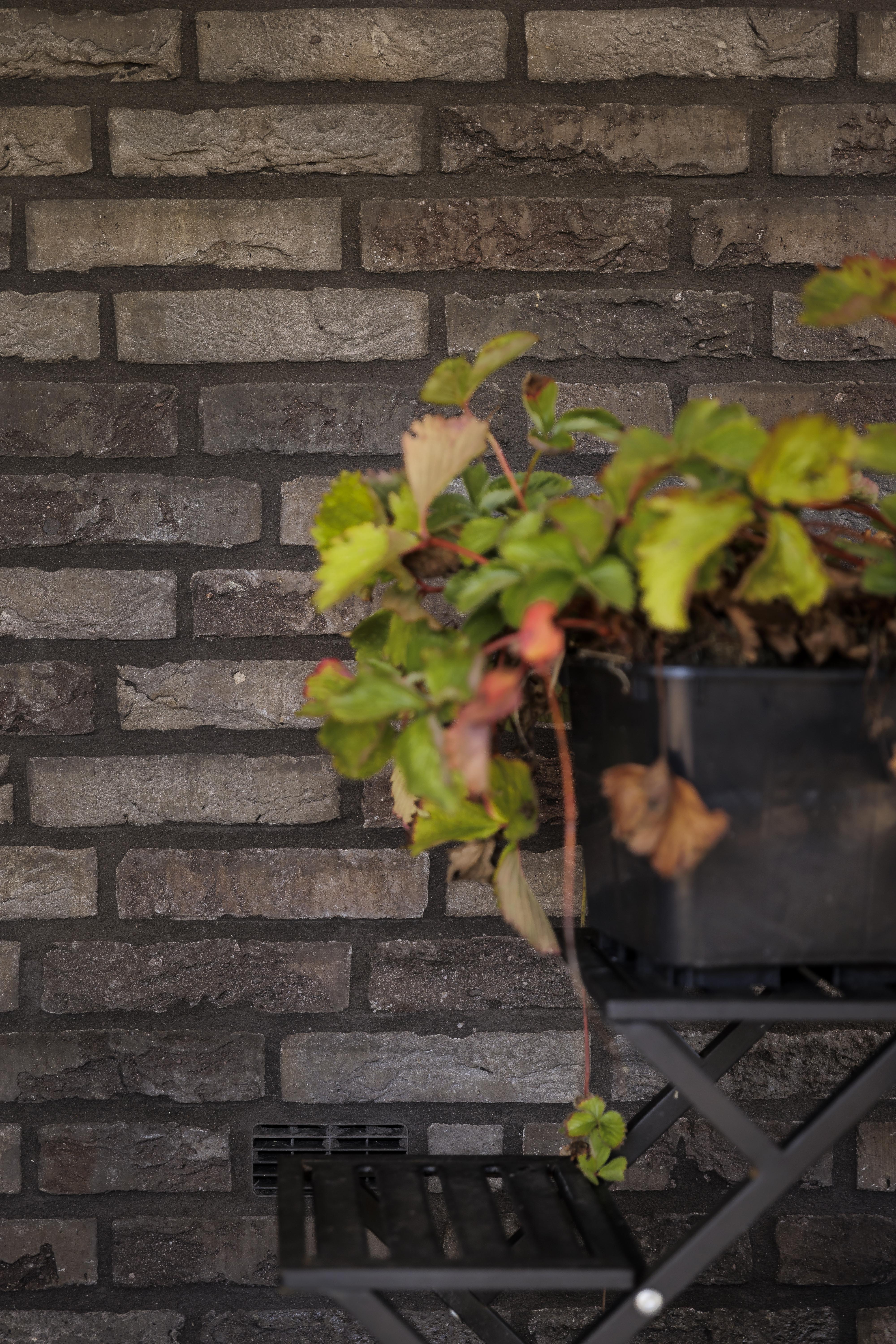 Vrijstaande woning Zwolle (Bouwbedrijf Mulder Elspeet)