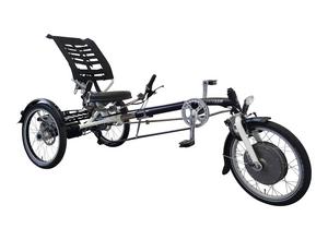 Van Raam Easy Sport N8 CB Silent elektrische driewieler