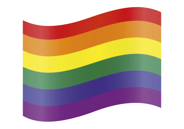 Regenboog Vlag symbool sticker 13 x 11 cm rechthoek