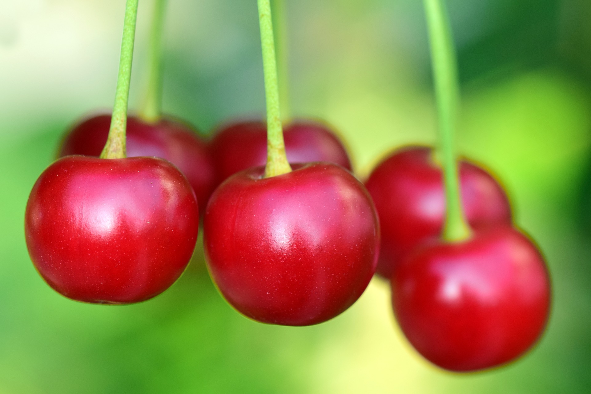Cherry picking bij payroll
