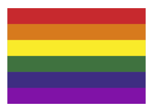 Regenboog vlag sticker - lgbt gay vlag flag