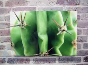 3D aluminium fotobord cactus