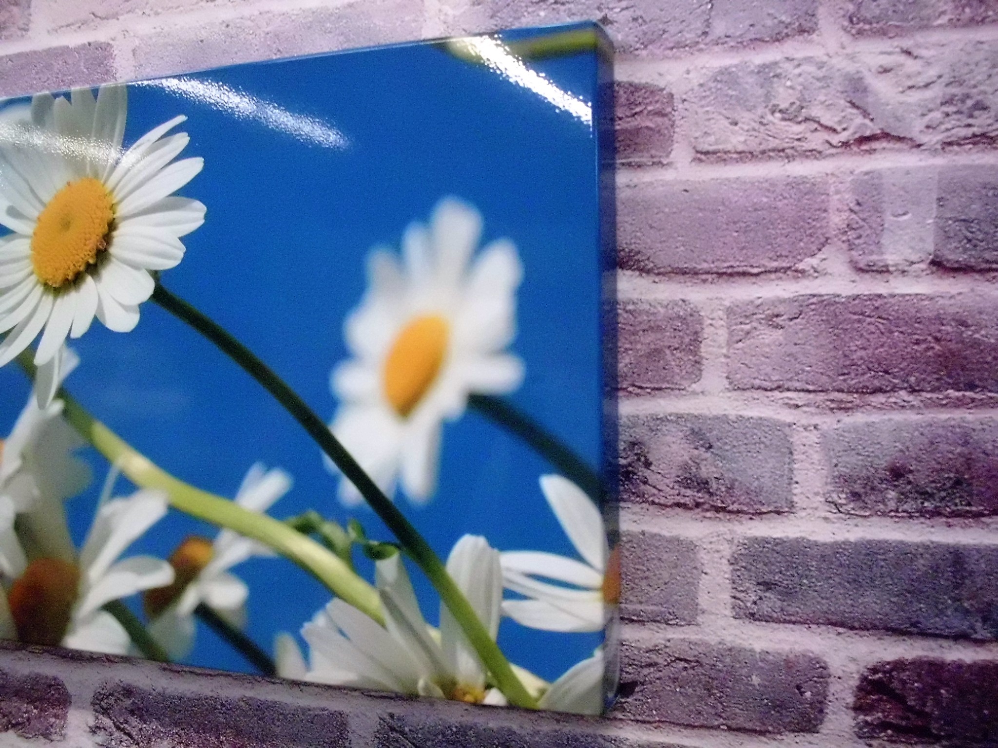 Decoratiepanelen omgezette randen sublimatie - paardenbloemen