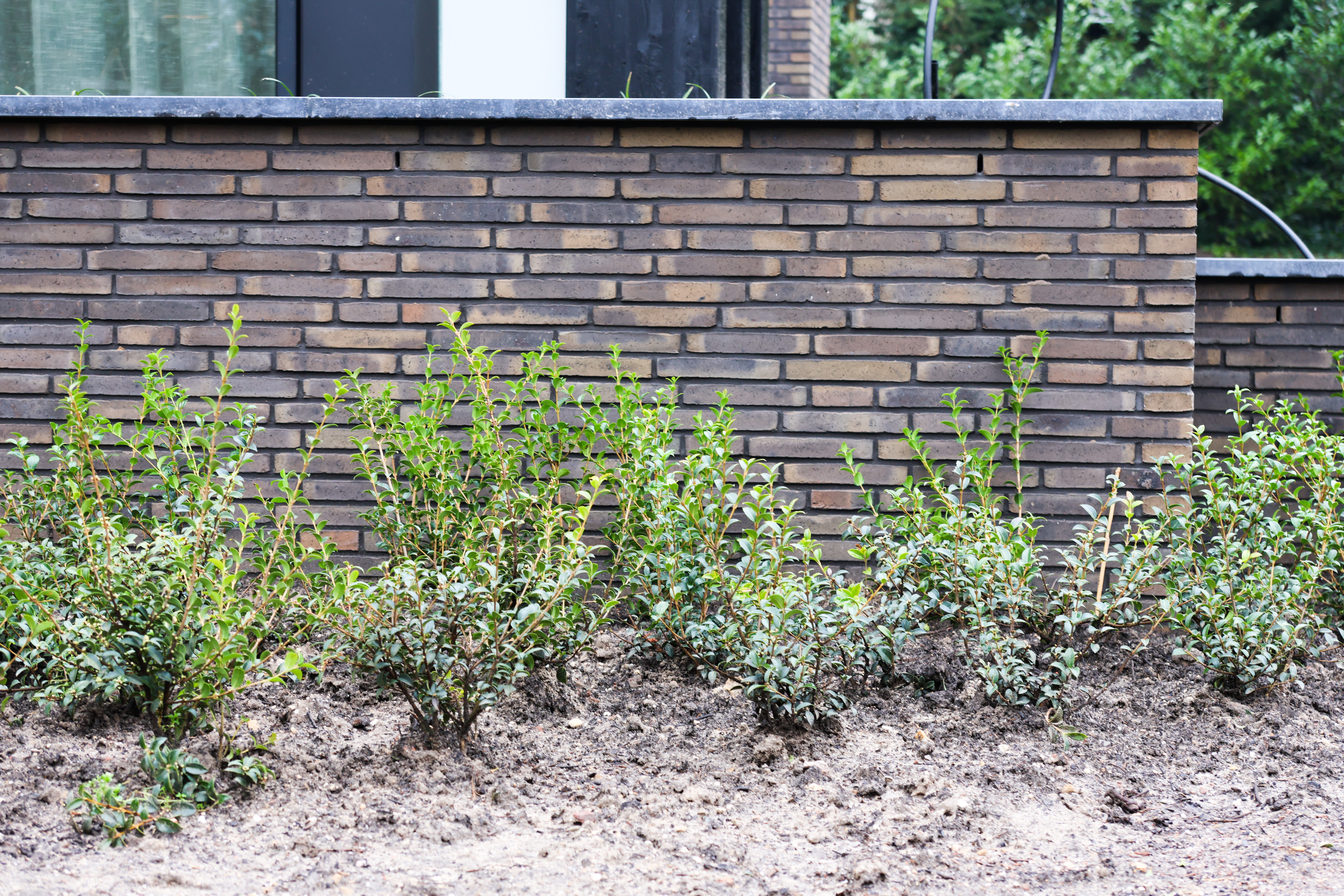 Villa Oosterbeek (Burgland Bouw)