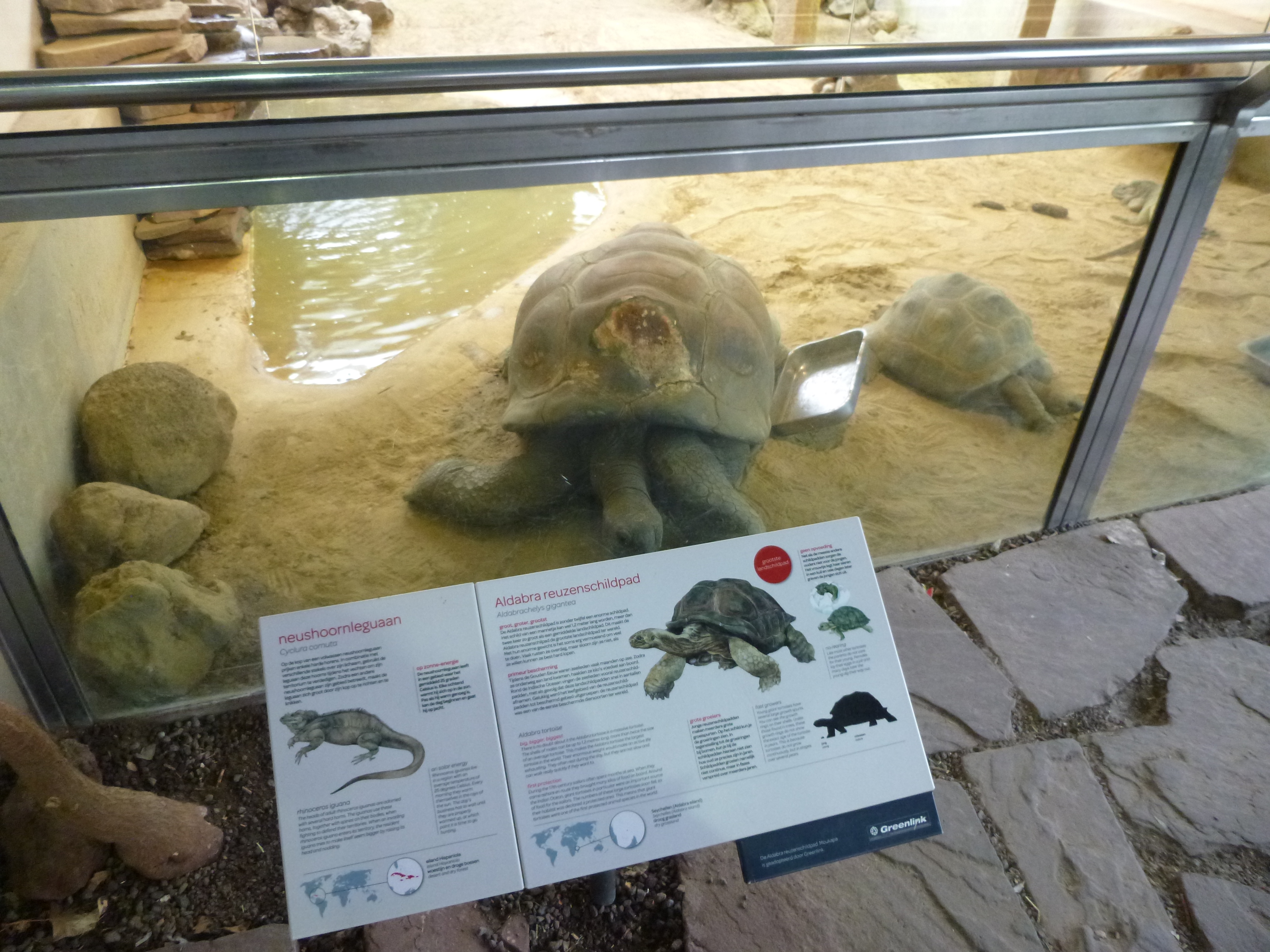 Artis informatieborden - sublimatie