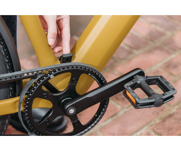 Signal_QWICYellowHerenAccuknop