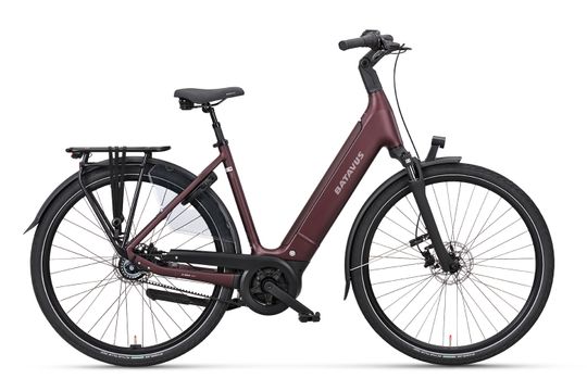 Finez PT Exclusive L (Burgundy Red Matt) 48 flex a