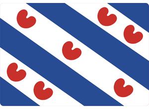 Friese vlag 130x90 mm