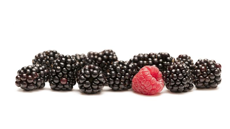 BlackberriesVSRaspberry_vb