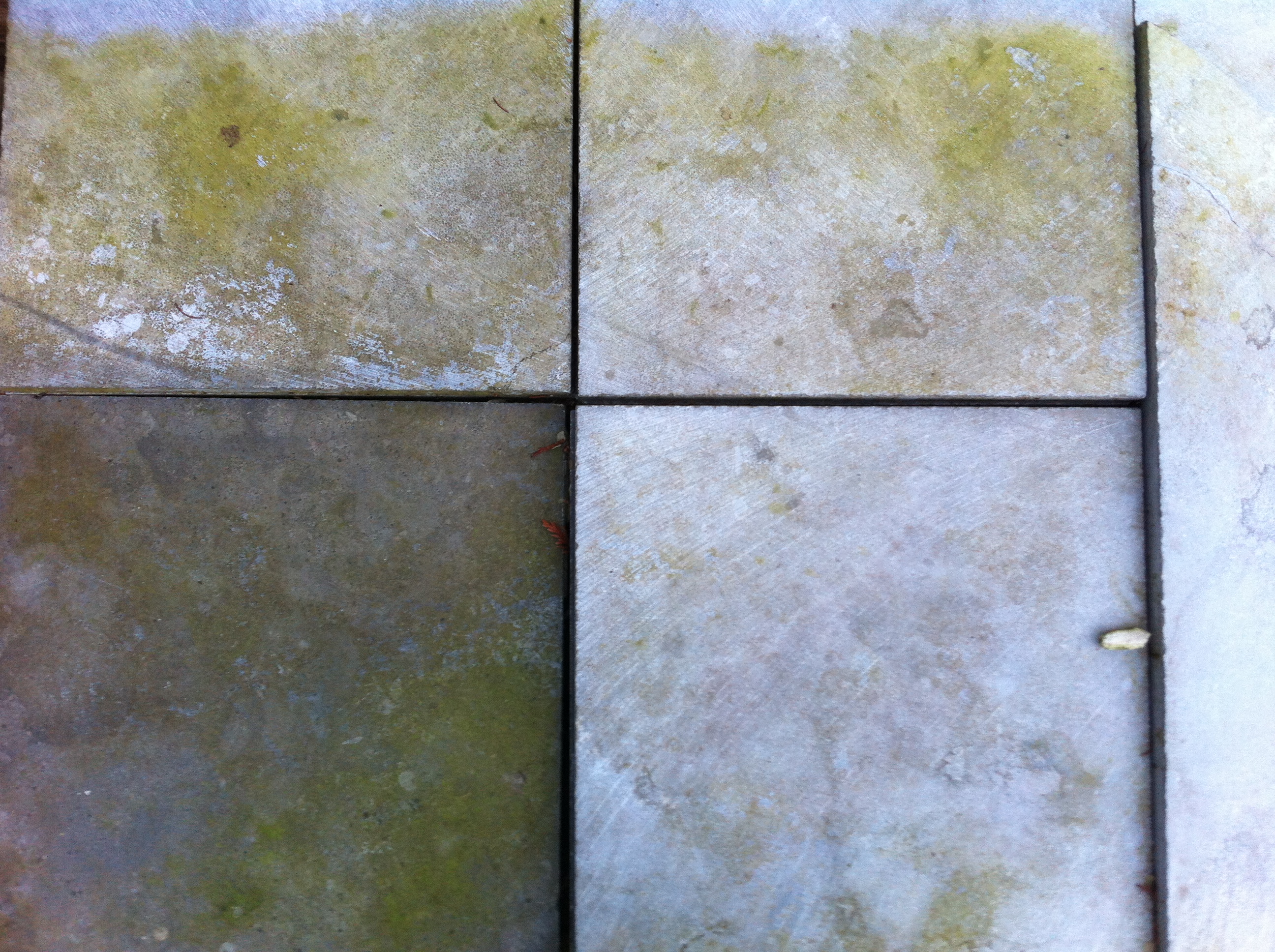 Photo 24-02-14 17 41 09.jpg