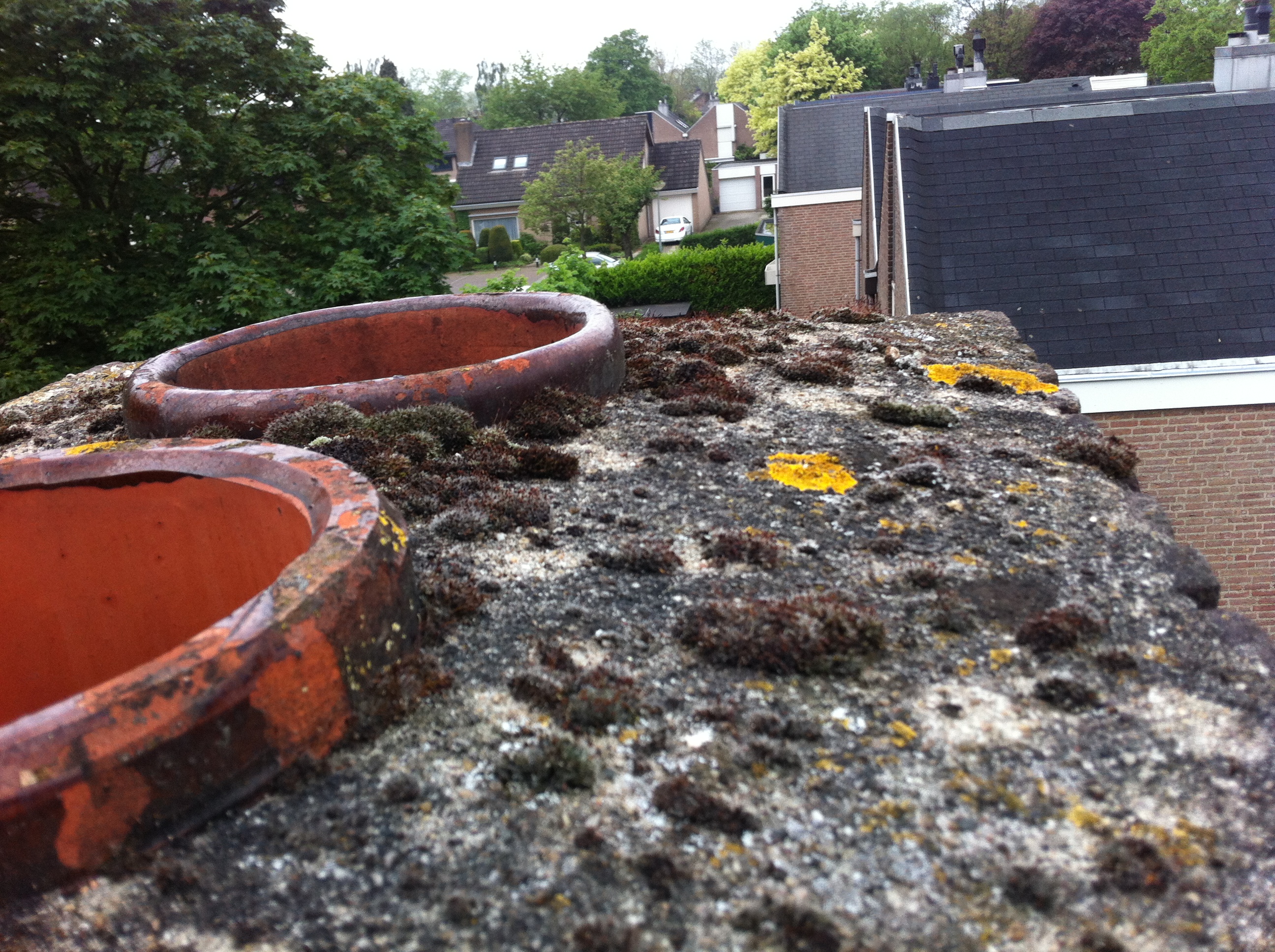 Photo 30-04-14 12 16 21.jpg