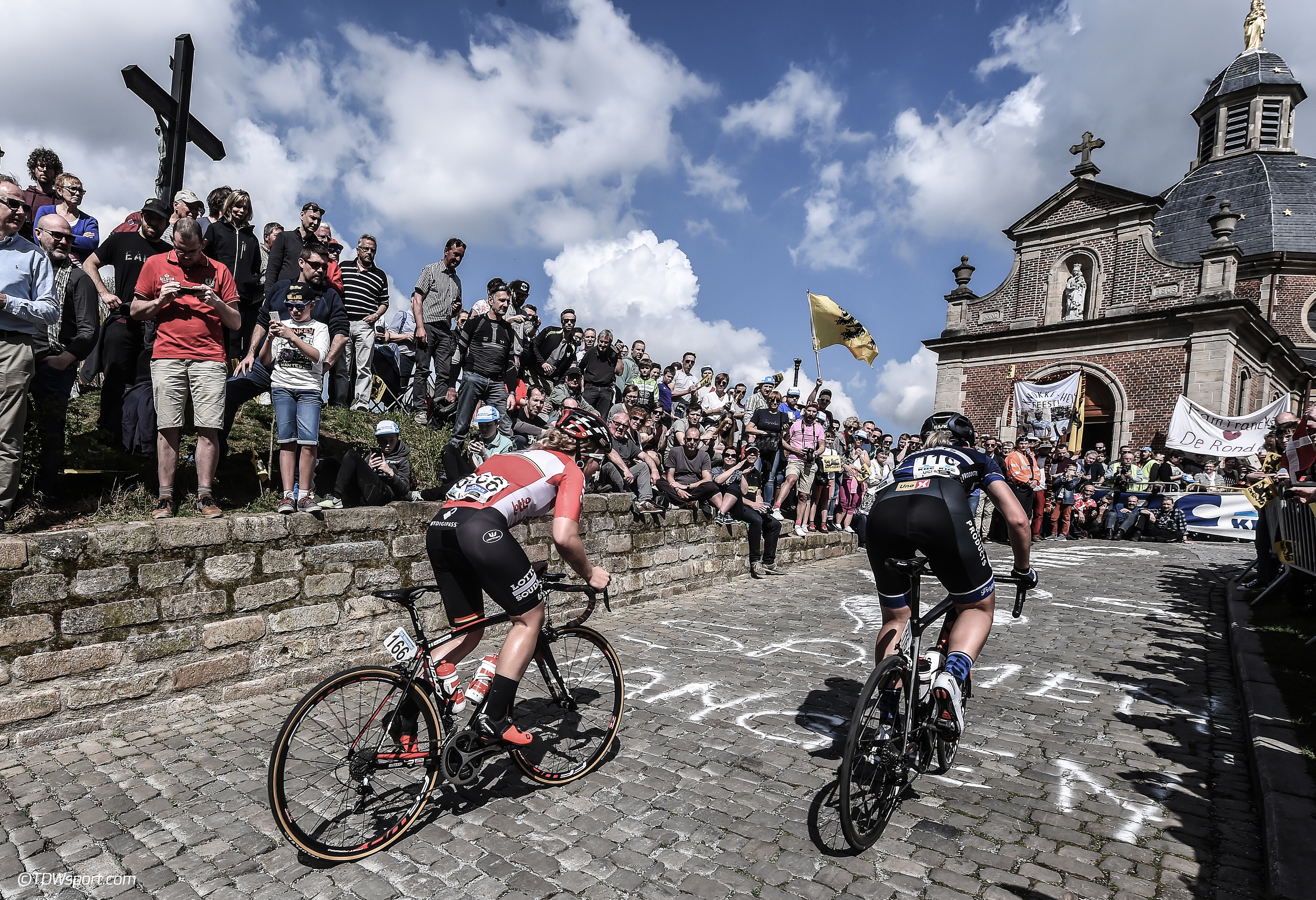 Dames Racefiets Kopen? | Van Eijk De Fietsspecialist in Ter Aar