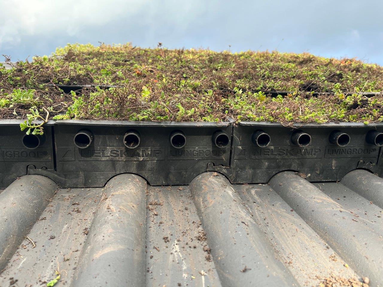 Houten verduurzaming 69 huurwoningen De Gilden (Zwitserloot Dak)