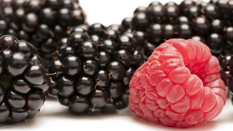 BlackberriesVSRaspberry
