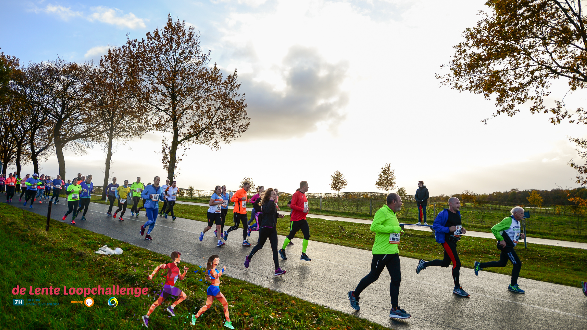 Nieuwe trainingsschema's LLC online