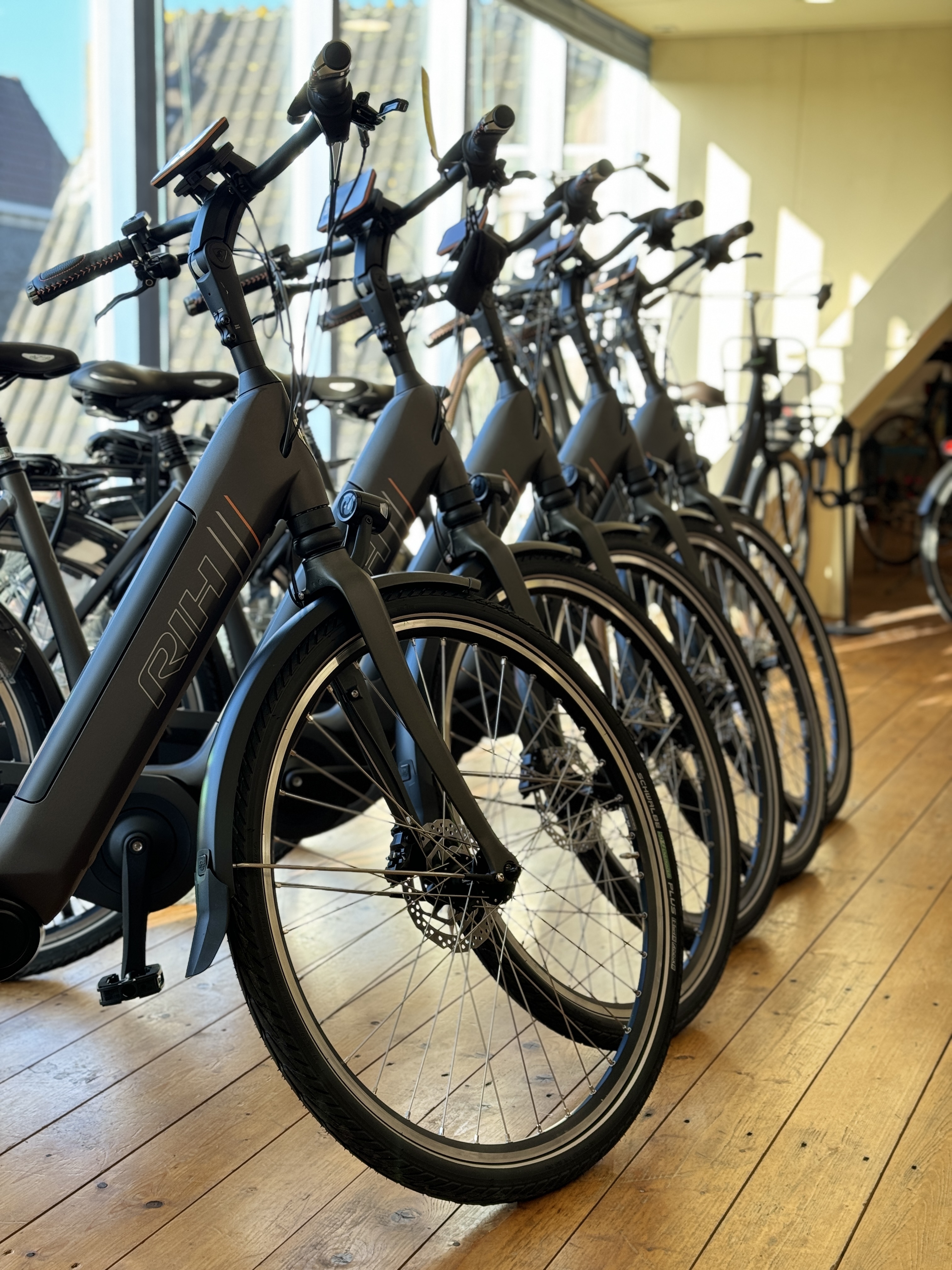 bekijk ons assortiment elektrische fietsen