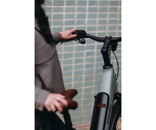 QWIC_Elan_Flowaccudmes.feb26