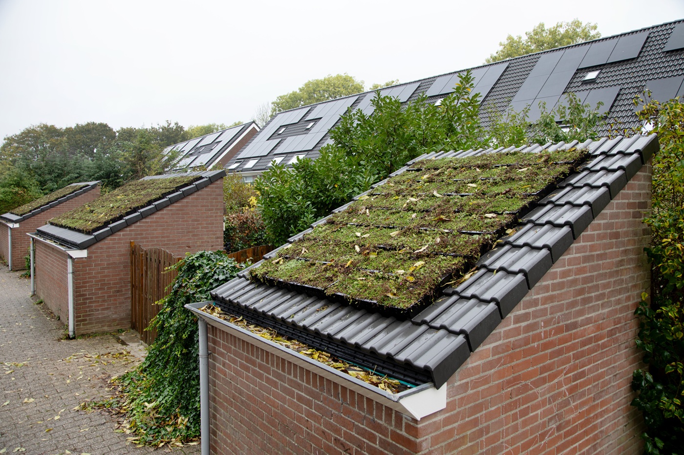 Houten verduurzaming 69 huurwoningen De Gilden (Zwitserloot Dak)