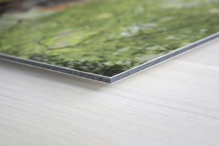 dibond sandwichpaneel 3 5 mm foto op aluminium materiaal