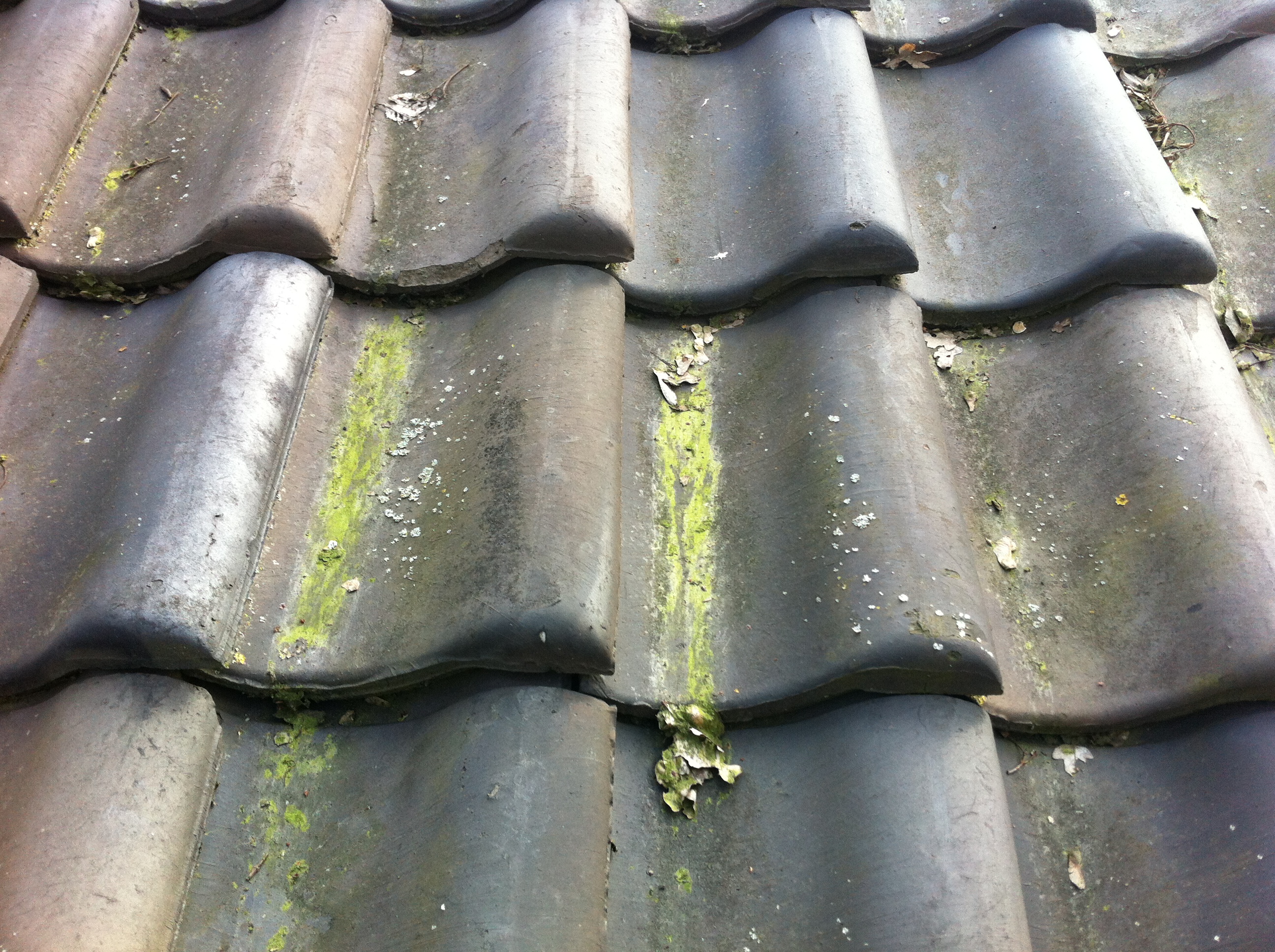 Photo 19-04-13 10 00 29.jpg