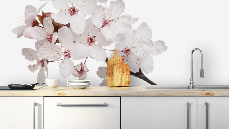 JapaneseBlossom•keuken