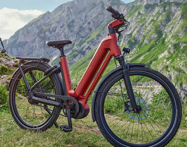 elecktrische fietsen