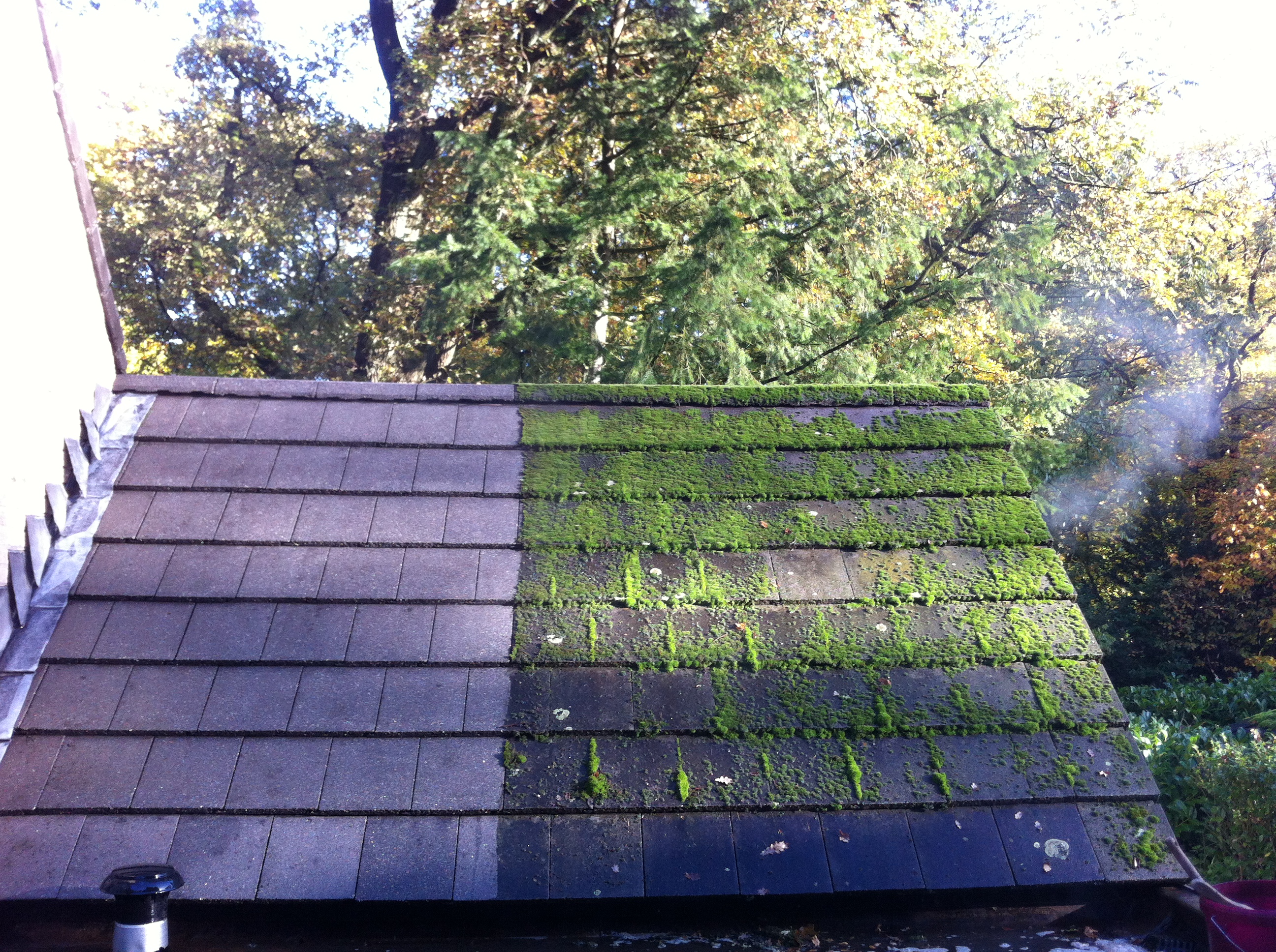 Photo 13-11-13 10 29 48.jpg